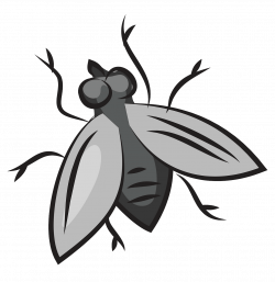 Fly clipart. Free download. | Creazilla