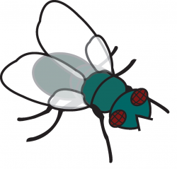 Fly clipart Fresh fly clip art 93 147 Fly Clipart » Clipart ...