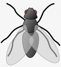 28 Collection Of House Fly Clipart - Clip Art Picture Of Fly ...