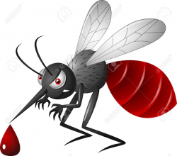Stock Vector | Cartoon mosquito, Angry cartoon, Bee rocks