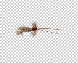 Insect Quill Brown PNG, Clipart, Animals, Brown, Fly, Gift ...