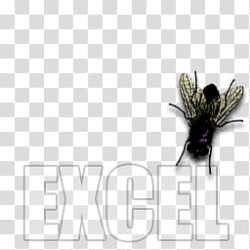 Fly dock icons, EXCEL, black and brown fly illustration ...