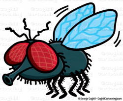 Free Fly Cartoon, Download Free Clip Art, Free Clip Art on ...