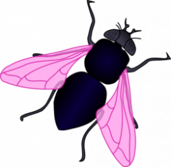 Green House Fly Clipart | i2Clipart - Royalty Free Public ...