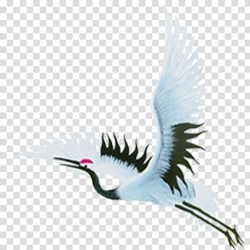 Flight Crane , Flying Crane transparent background PNG ...
