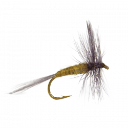 Trout clipart dry fly, Trout dry fly Transparent FREE for ...