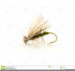 Dry Fly Clipart | Free Images at Clker.com - vector clip art ...