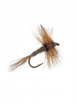 Trout clipart dry fly, Trout dry fly Transparent FREE for ...