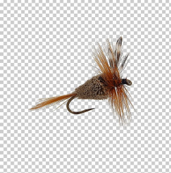 Artificial Fly Pheasant Tail Nymph Quill Gordon Trout PNG ...