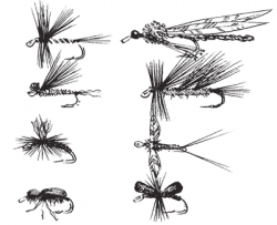 Rigs and Methods for Dry Flies on Still Waters - Clip Art ...