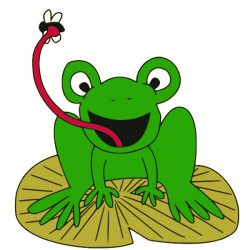 Frog catching fly clipart - Cliparting.com