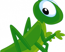 Grasshopper Clipart Different Insect - Grasshopper Animation ...