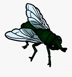 Free To Use & Public Domain Insects Clip Art - Fly Clipart ...