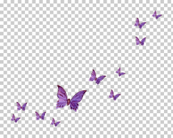 Fly Butterfly , butterfly, purple butterflies illustration ...