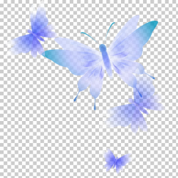 Butterfly Blue, Blue butterfly fly, blue and purple ...