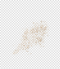 Download for free 10 PNG Fly clipart sand top images at ...
