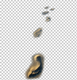 Download for free 10 PNG Fly clipart sand top images at ...