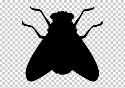 Insect Fly Icon, Silhouette flies, black insect cliaprt PNG ...