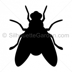 Fly Silhouette