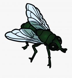 Fly Clipart - Fly Clipart Transparent , Transparent Cartoon ...