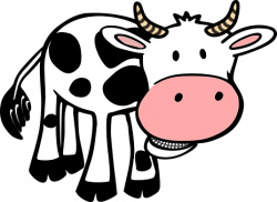 Cow, Food, Farm, Animal, Horns | Adult Beverages | Pinterest