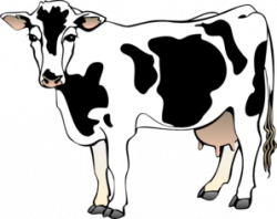 Dairy Cow Clipart