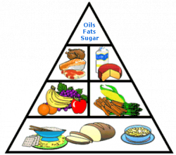 Healthy Food Clipart essential 14 - 374 X 332 | Dumielauxepices.net