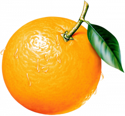 Orange Clipart Picture | Ovocie (fruit) | Fruit, Orange a Clip art