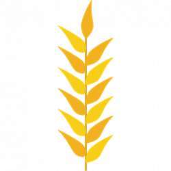 grains, Wheat Plant, Wheat Grain, nature, food, Grain, Wheat icon