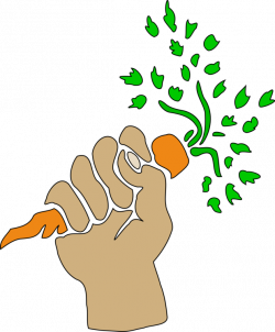 Carrot Drawing Download Hand Art free commercial clipart - Food Not ...