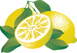 Lemon Clipart sour food 4 - 639 X 445 | Dumielauxepices.net