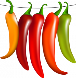 hot and spices chilies | vegetables png | Pinterest | Fruit ...