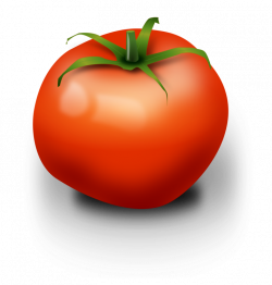 Tomato Vegetable Fruit Computer Icons Onion free commercial clipart ...