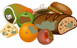 Waste Clip Art | Hot Trending Now