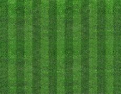 Football in grass clipart - Clip Art Library