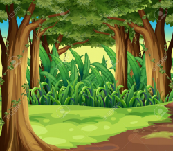 Forest Background Clipart, HD Wallpapers - (++ wallpaper ...