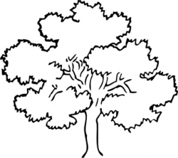 Black and white forest tree clip art free vector download ...