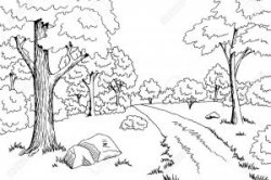 Forest clipart black and white, Forest black and white ...