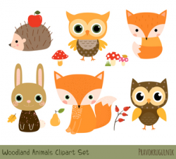 Cute Woodland Animal Clipart, Forest Animal Clip Art Set, Baby Fox Hedgehog  Owl