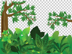 Forest Tree, jungle, green tree and plants PNG clipart ...