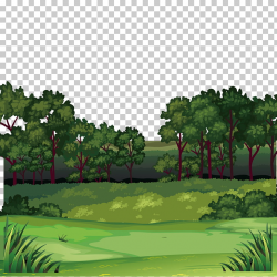 Forest , Jungle scenery, green trees illustration PNG ...