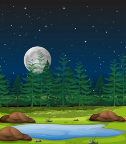 Forest at night scene - Download Free Vectors, Clipart ...
