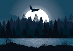 Beautiful Night Forest Illustration in 2019 | Night forest ...
