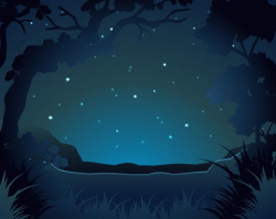 Forest scene at night - Download Free Vectors, Clipart ...