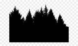 Shadows Clipart Pine Tree - Transparent Background Forest ...