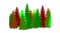 19 Forest Clipart Huge Freebie Download For Powerpoint ...