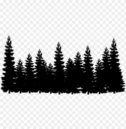 report abuse - black and white forest clipart PNG image with ...