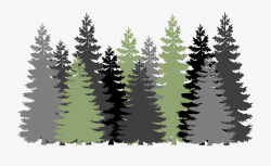 Transparent Background Evergreen With Snow Clipart - Forest ...