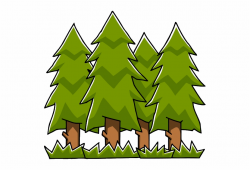 Forest Clipart Evergreen Tree - Forest Clipart Transparent ...