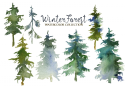 Winter Forest Watercolor Clipart - Pine Trees, Animals ...